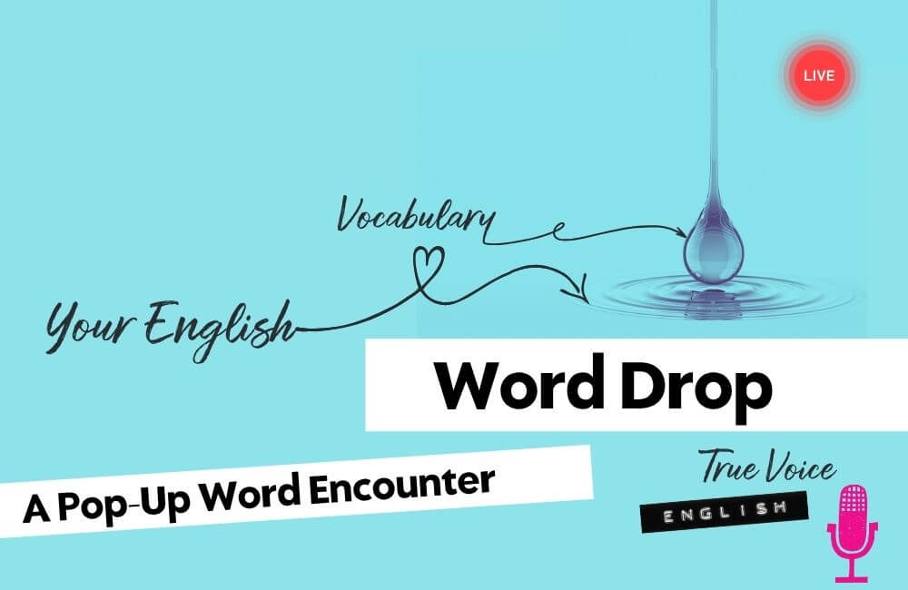word drop, a live chat word encounter