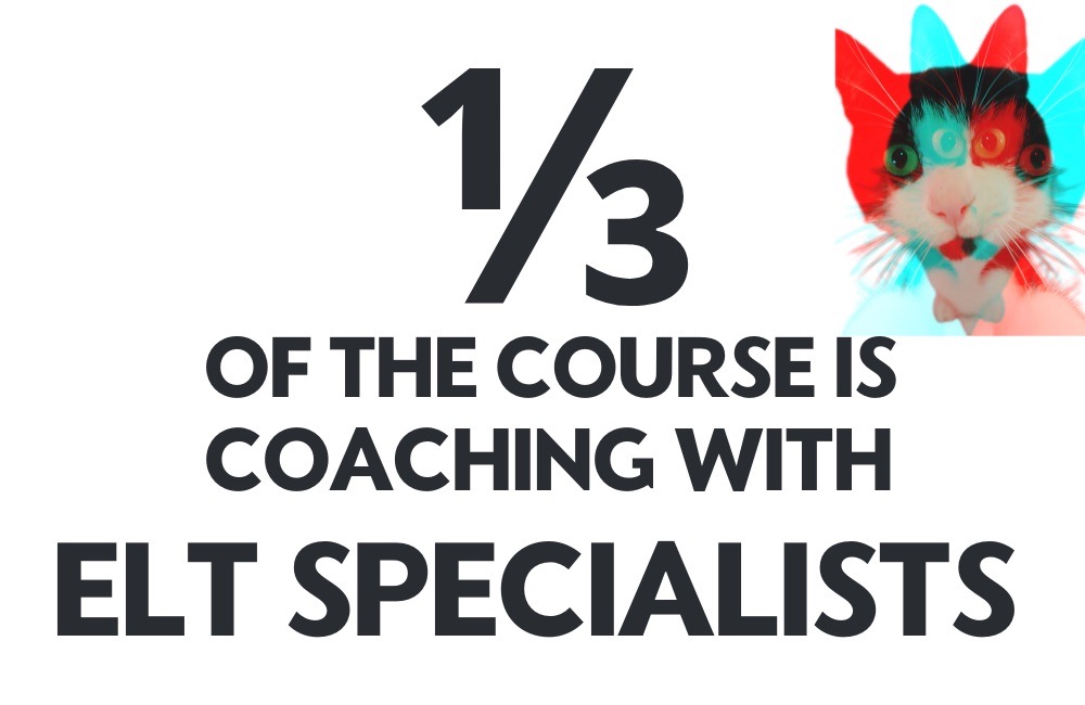 1/3 of the course is coaching with ELT specialsits