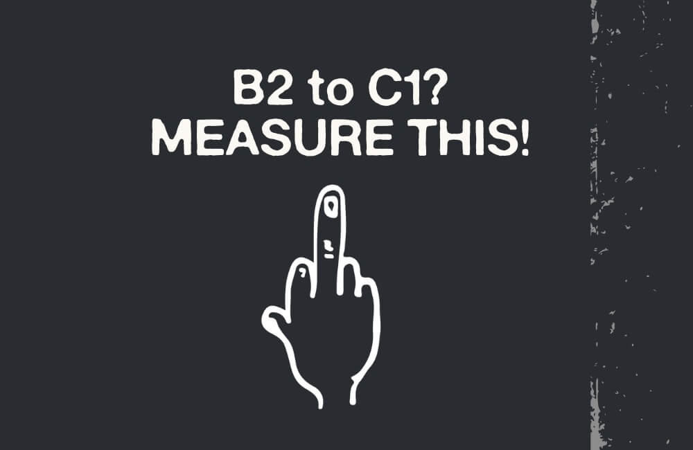 traditional language level assessment<br />
